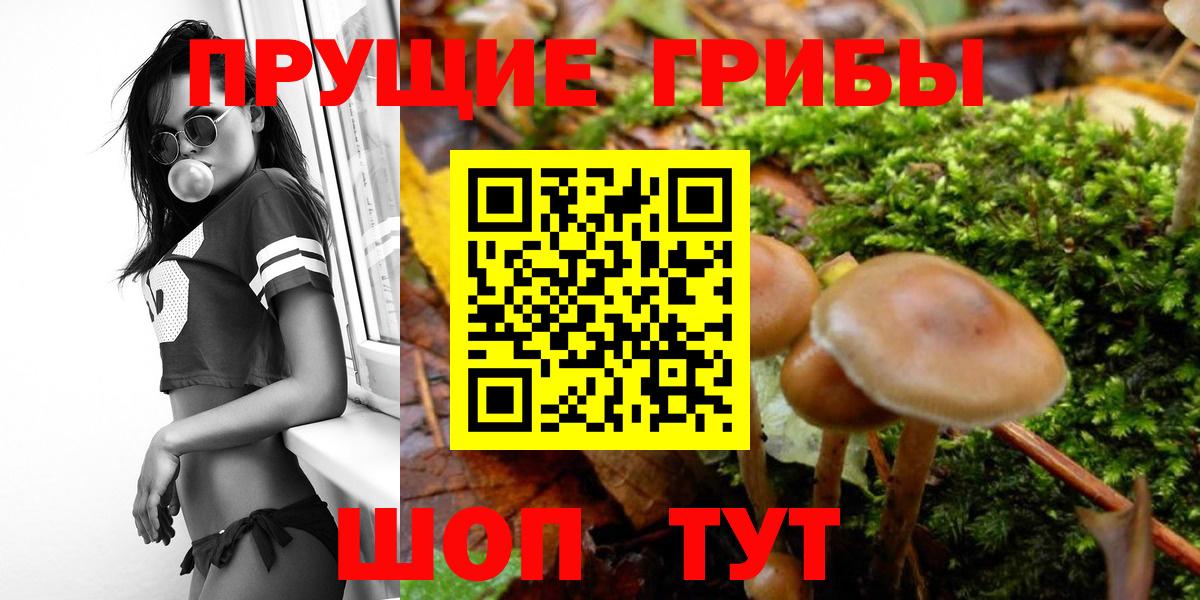 Трёхгорный  Галлюциногенные грибы GOLDEN TEACHER  Вход с VPN 