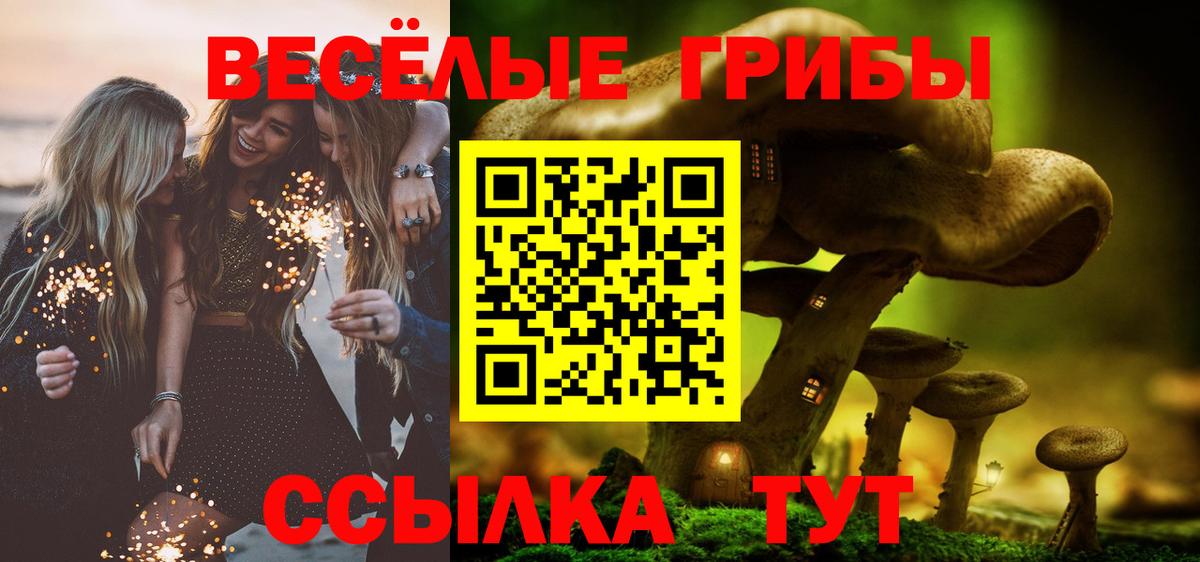 Галлюциногенные грибы прущие грибы Трёхгорный